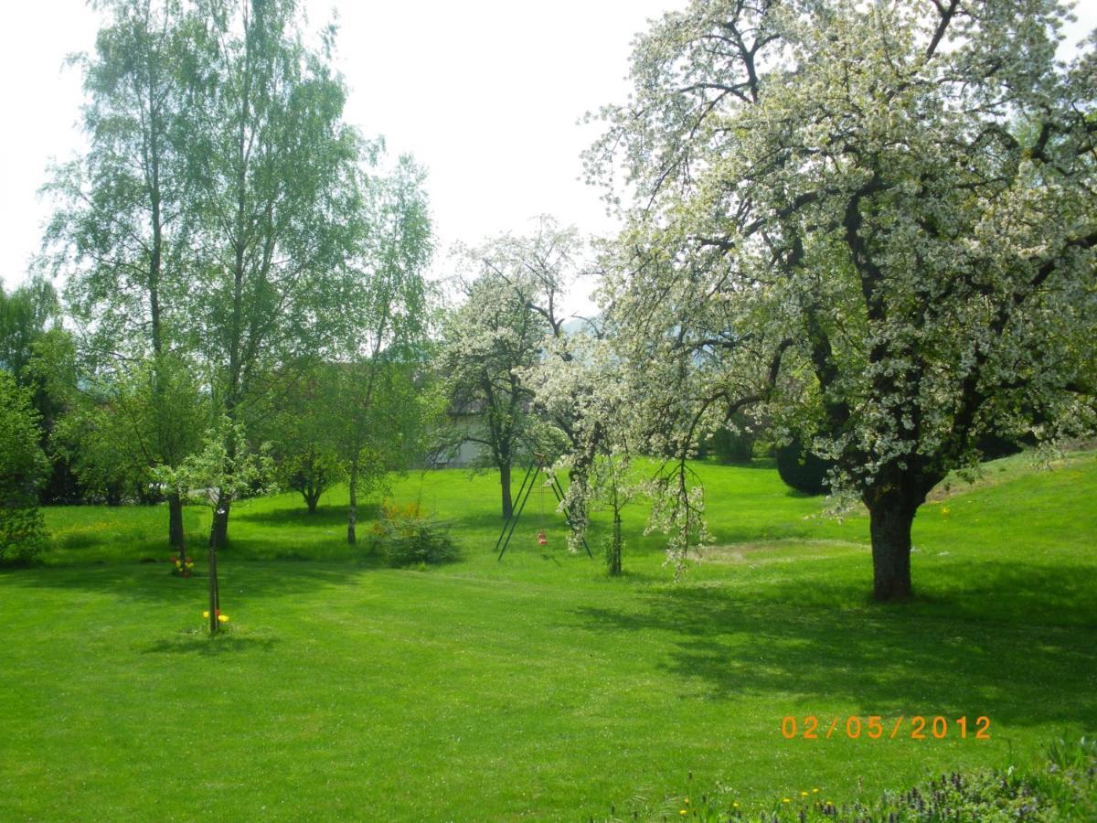 Willer-sur-Thur Entre Thur Et Montagne Bed & Breakfast エクステリア 写真