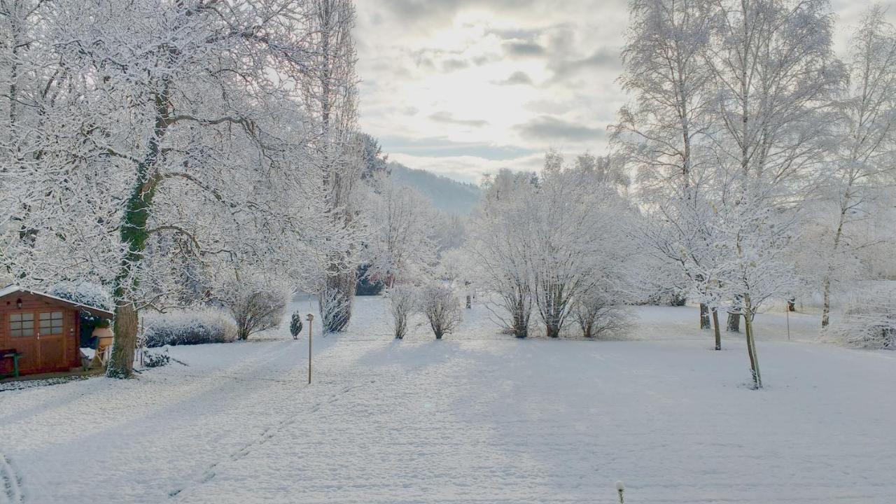 Willer-sur-Thur Entre Thur Et Montagne Bed & Breakfast エクステリア 写真