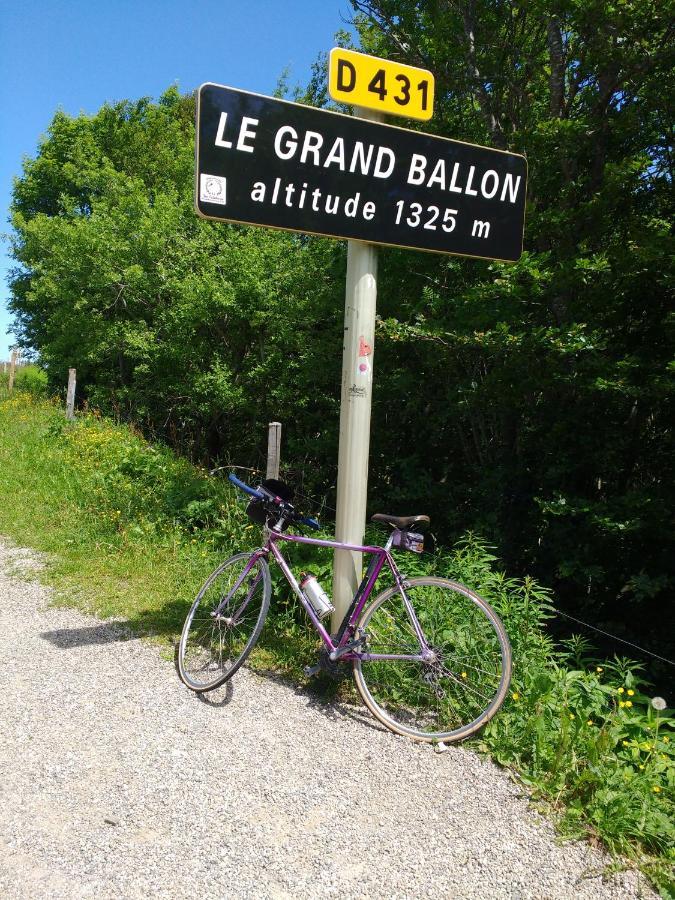 Willer-sur-Thur Entre Thur Et Montagne Bed & Breakfast エクステリア 写真